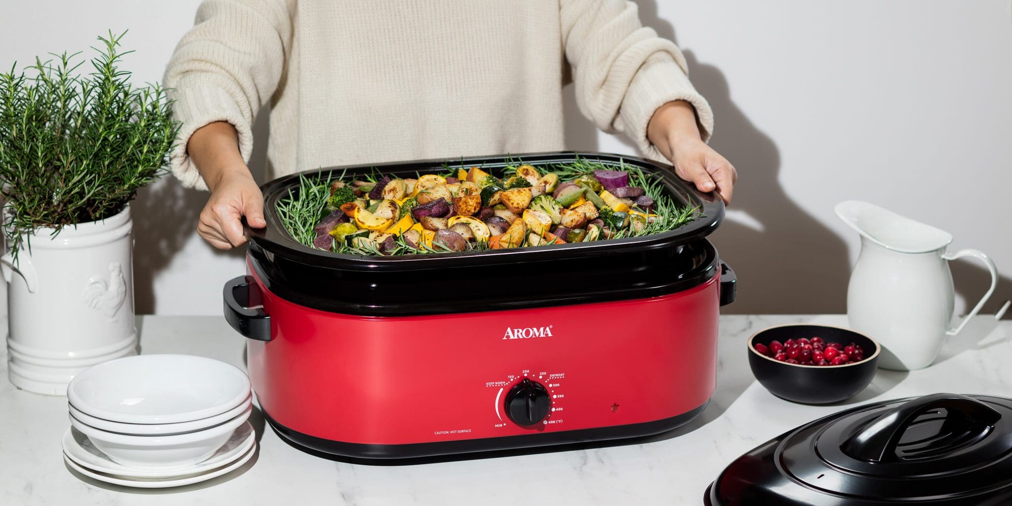 multi buffet crock pot food warmer